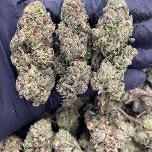 Raspberry Runtz Strain